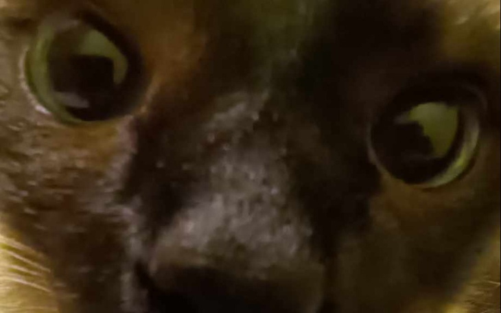 Zbiórka Ubrania i pieniądze na siłownię. - zdjęcie główne