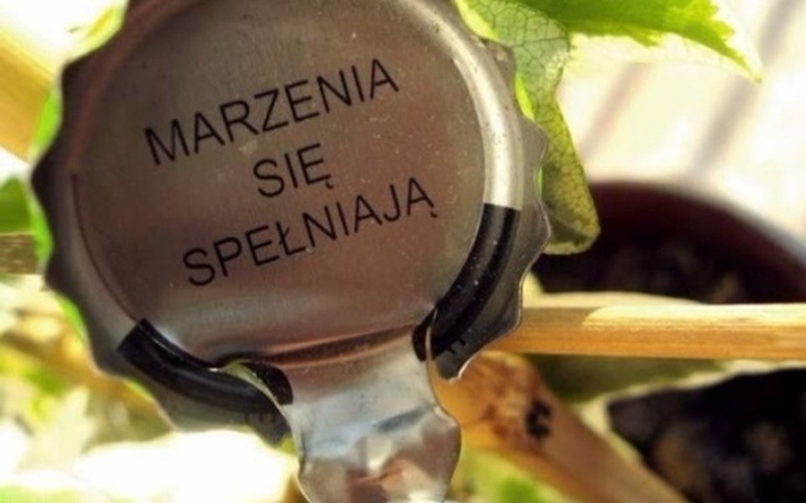 Zbiórka Na małe marzenia - zdjęcie główne