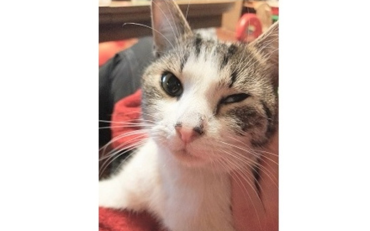 Zbiórka Yarpen - na pohybel martwakowi - zdjęcie główne