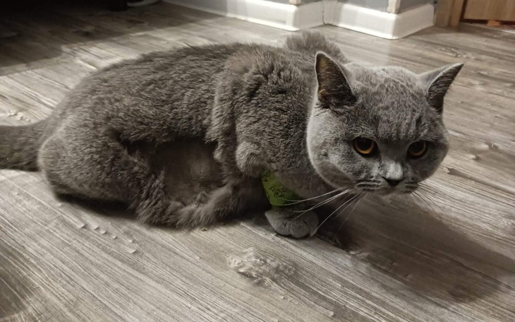 Zbiórka Ratujmy Lunkę - zdjęcie główne