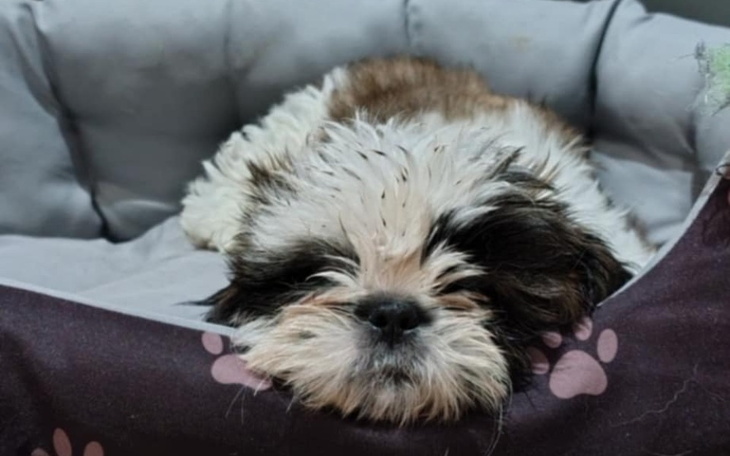 Zbiórka Ratujemy naszego maluszka - zdjęcie główne