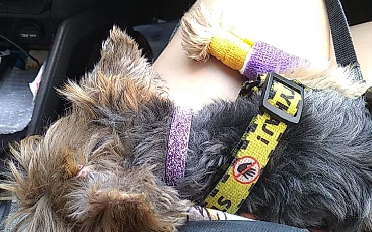 Zbiórka Walczymy o Klarcie - zdjęcie główne