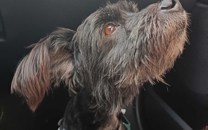 Zbiórka Gdy bardzo chce się żyć - zdjęcie główne