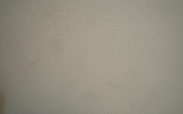 Zbiórka Xdhsjeiiejejeieiejejeje - zdjęcie główne