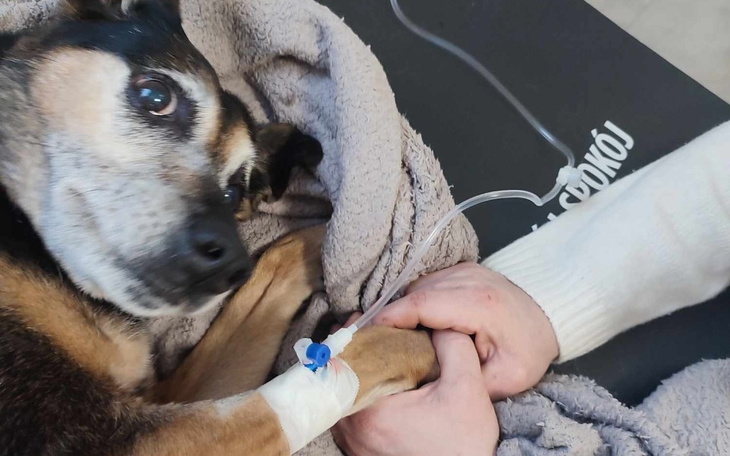 Zbiórka Bo starość przyszła za szybko - zdjęcie główne