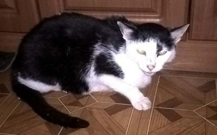 Zbiórka Mają tylko siebie - ratujmy! - zdjęcie główne