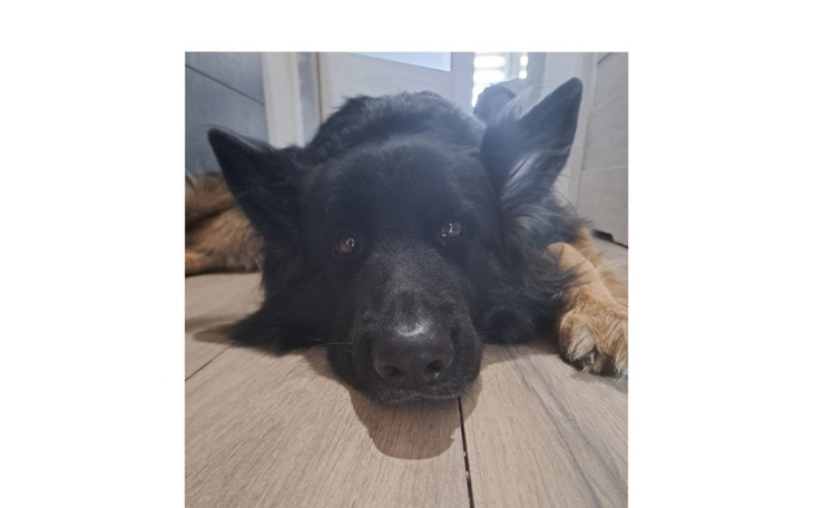 Zbiórka Bilet do nowego domu Kamara - zdjęcie główne