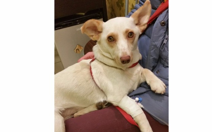 Zbiórka BUNIA 2xchora na babeszję walczy - zdjęcie główne