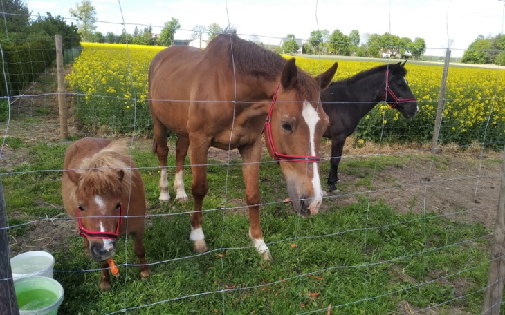 Zbiórka Pomóżmy przetrwać zimę. - zdjęcie główne