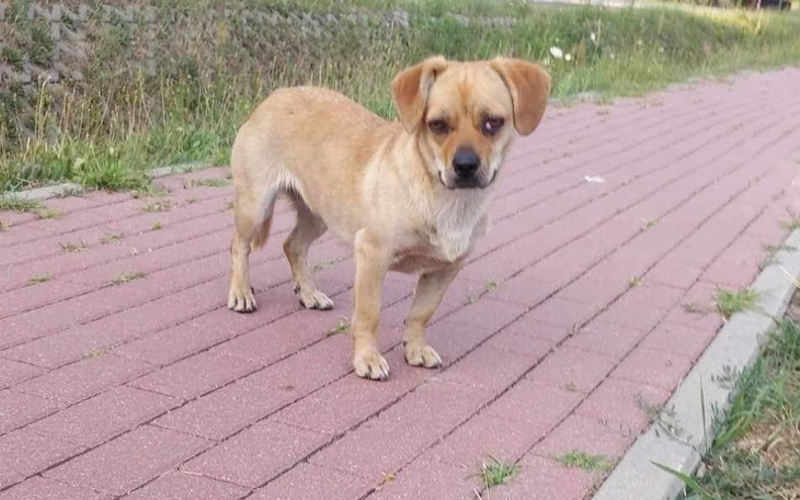 Zbiórka Sunia z drogi - zdjęcie główne