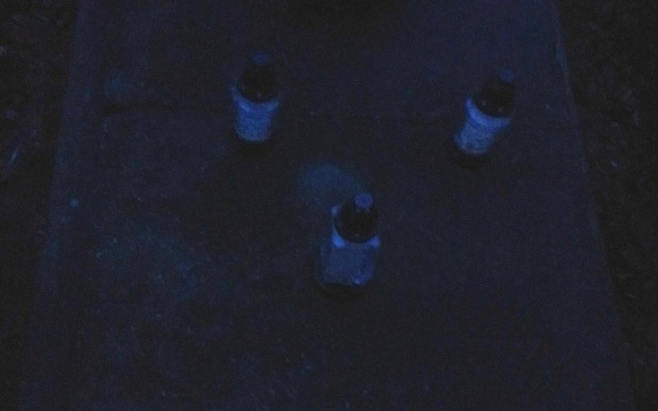 Zbiórka Pamięć o przodkach - to ważne. - zdjęcie główne