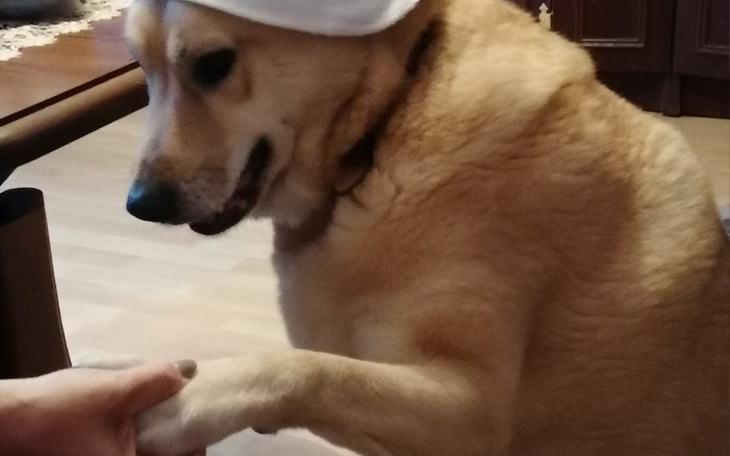 Zbiórka Zimowa pomoc - zdjęcie główne