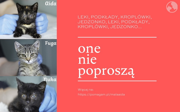 Zbiórka Leczenie maluszków - zdjęcie główne