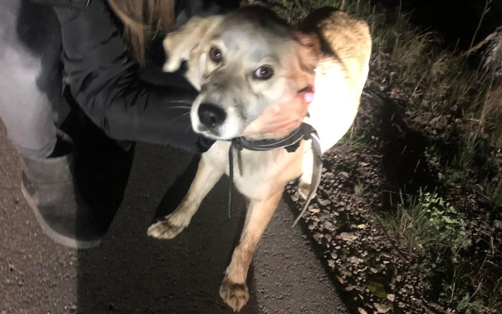 Zbiórka Wyszła z lasu pod Łukowem - zdjęcie główne