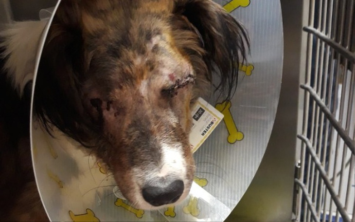 Zbiórka Który z nich nie powinien żyć? - zdjęcie główne