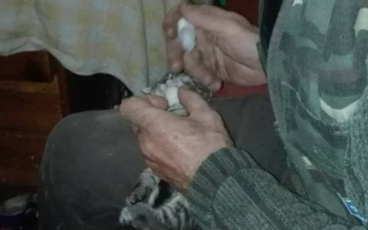 Zbiórka Bezdomny Pan Piotr i 30 kotów - zdjęcie główne