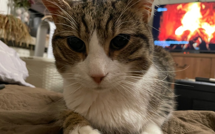 Zbiórka Kenshi kontra śmiertelna choroba - zdjęcie główne