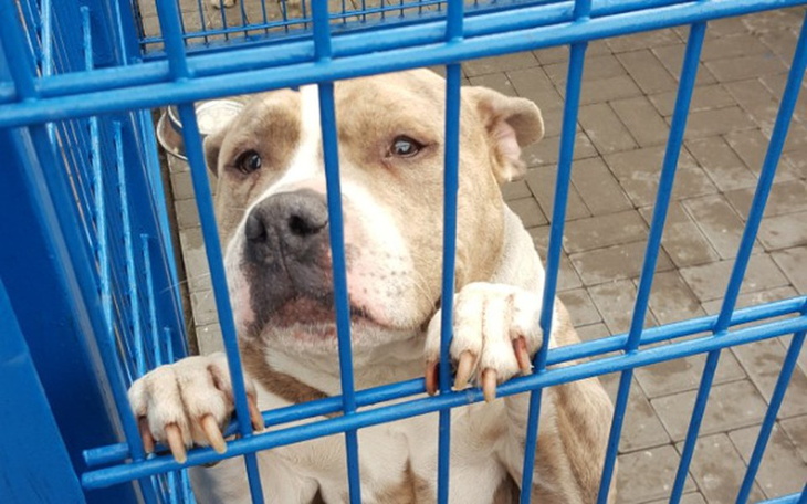 Zbiórka Dobra Karma 2018 (non-profit) - zdjęcie główne