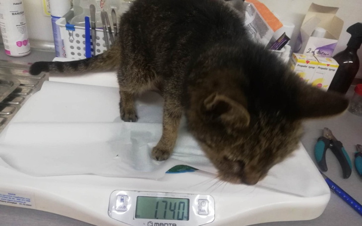 Zbiórka Umierała pod płotem - zdjęcie główne