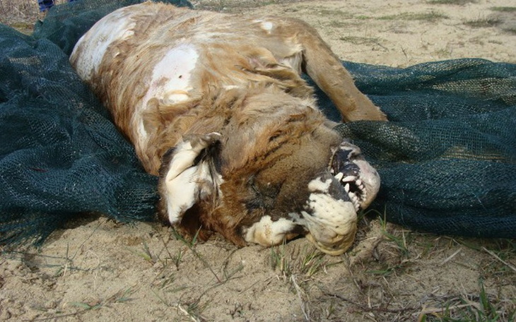 Zbiórka na nagrodę za wskazanie sprawcy - zdjęcie główne