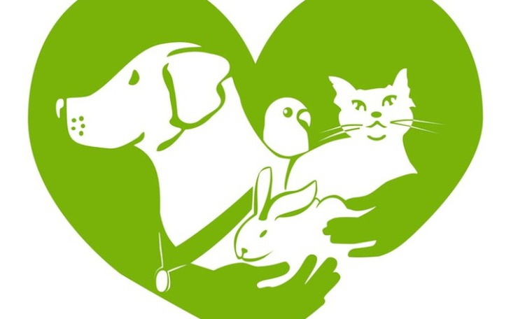 Zbiórka Pomoc  podkarpackim schroniskom - zdjęcie główne