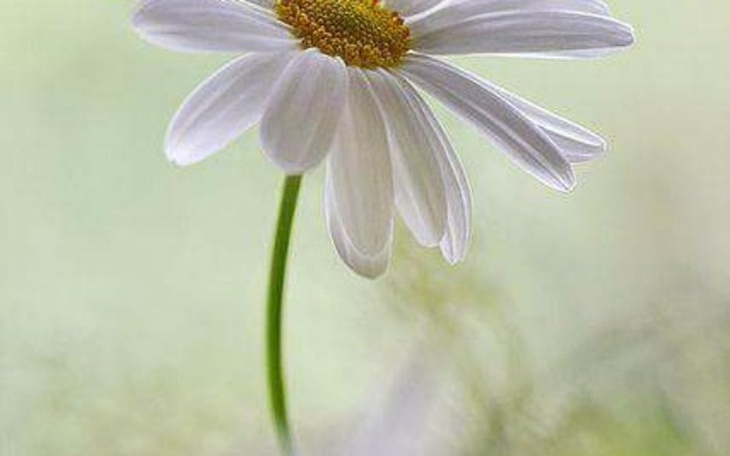 Zbiórka Stop chwilowkom - zdjęcie główne