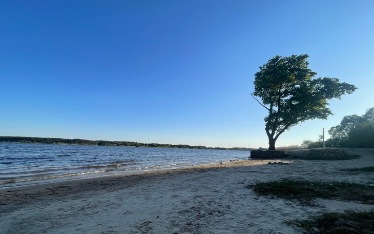 Zbiórka Leczenie alergii - zdjęcie główne