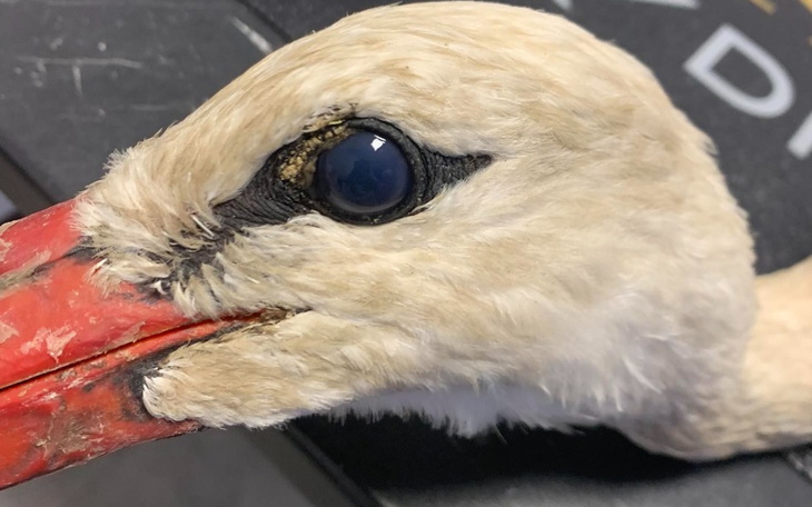 Zbiórka Zaległe płatności za szpital - zdjęcie główne