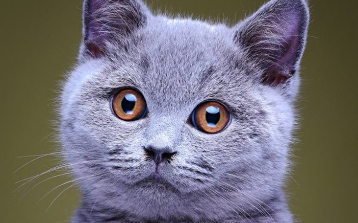 Zbiórka potrzebuje sprawa zycia i smierc - zdjęcie główne