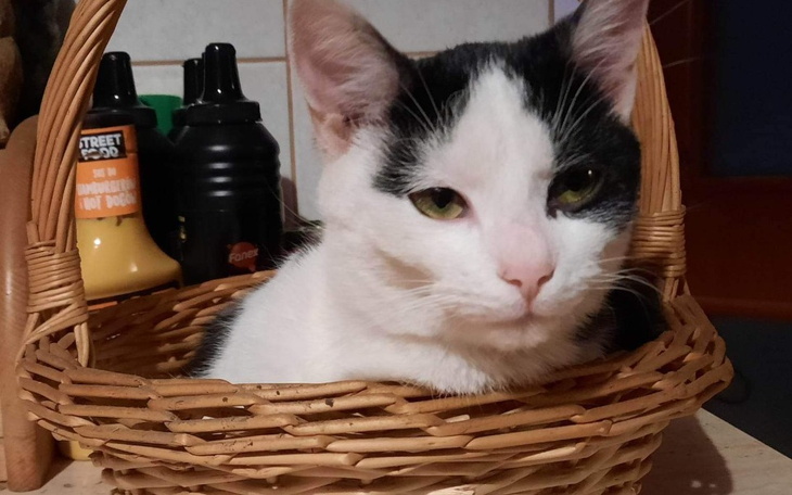 Zbiórka Niestety to już koniec - zdjęcie główne