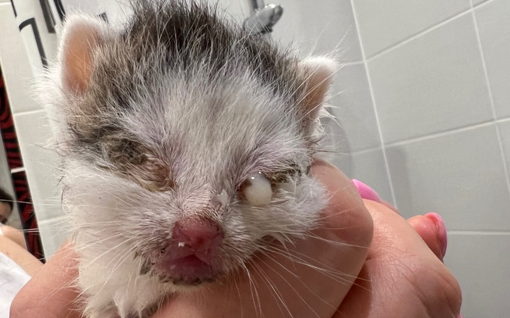 Zbiórka Na leczenie malucha i Heli - zdjęcie główne