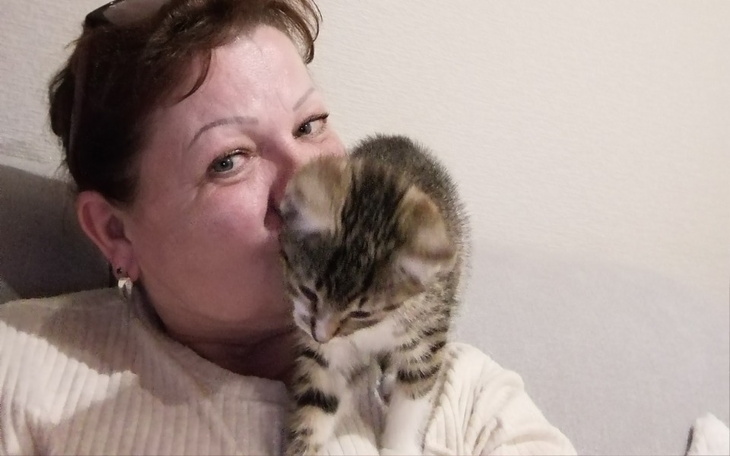 Zbiórka Działkowe kotki leczenie - zdjęcie główne