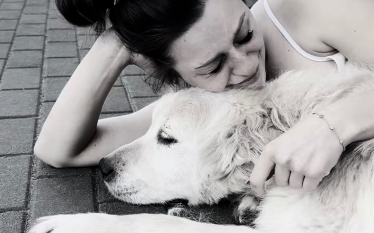 Zbiórka Golden Retrievery w potrzebie - zdjęcie główne