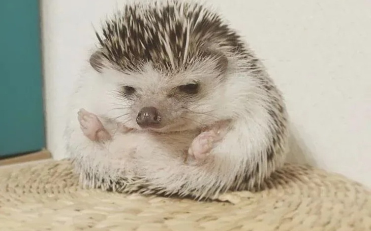 Zbiórka Na farta9877 - zdjęcie główne