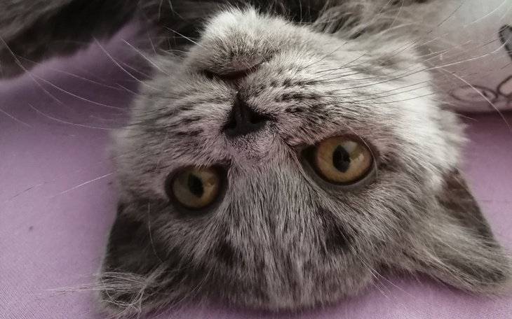 Zbiórka Pokonać śmiertelną chorobę - zdjęcie główne