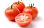 Zbiórka Pomidory - miniaturka zdjęcia