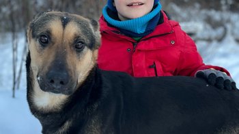 Zbiórka Ukoić cierpienie Kraski - miniaturka zdjęcia