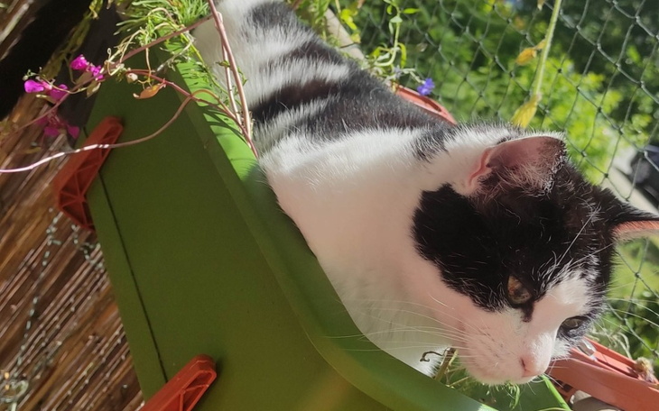 Zbiórka Zbiórka dla mojej Muni - zdjęcie główne