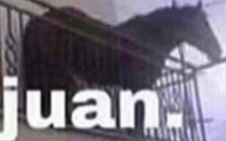 Zbiórka zrzutka na deskorolke - zdjęcie główne