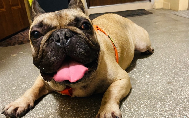 Zbiórka Filip oddany bez niczego - zdjęcie główne