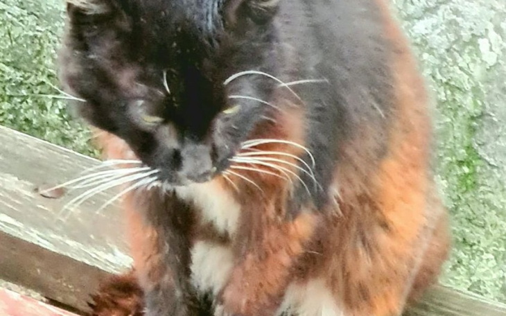 Zbiórka Fajniak prawie jak z Biedronki - zdjęcie główne