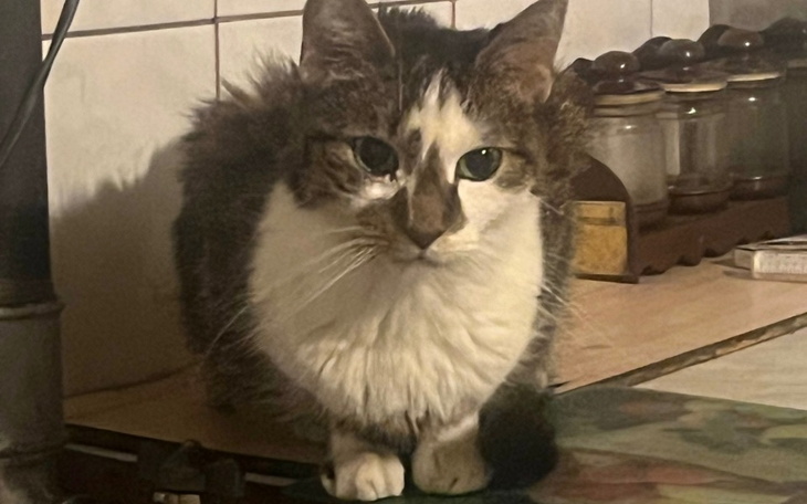 Zbiórka Życie bez bólu Fruzi z rakiem - zdjęcie główne