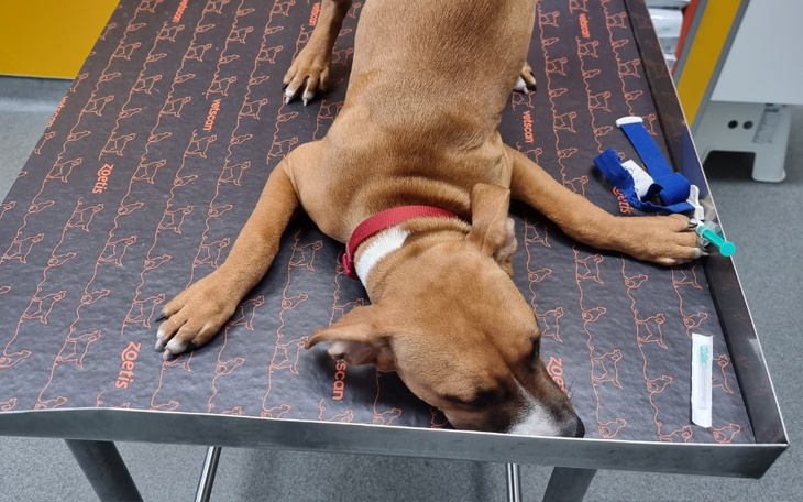 Zbiórka Na ratunek, łokcie do wymiany. - zdjęcie główne