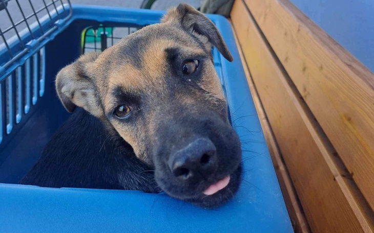 Zbiórka Dostanę szansę Czy żyć w bólu - zdjęcie główne