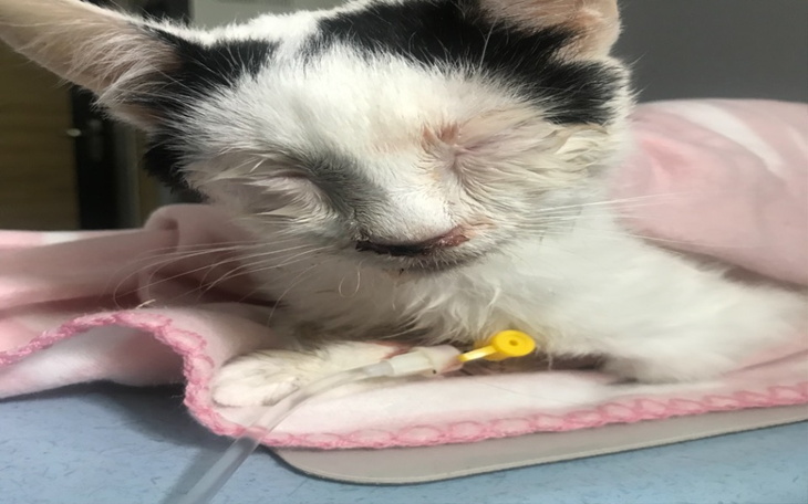 Zbiórka Na ratowanie Karolka - zdjęcie główne