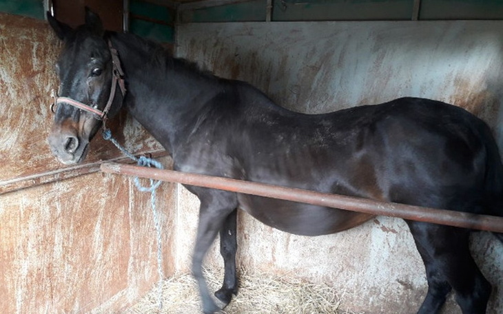 Zbiórka Granda nie chce umierać... - zdjęcie główne