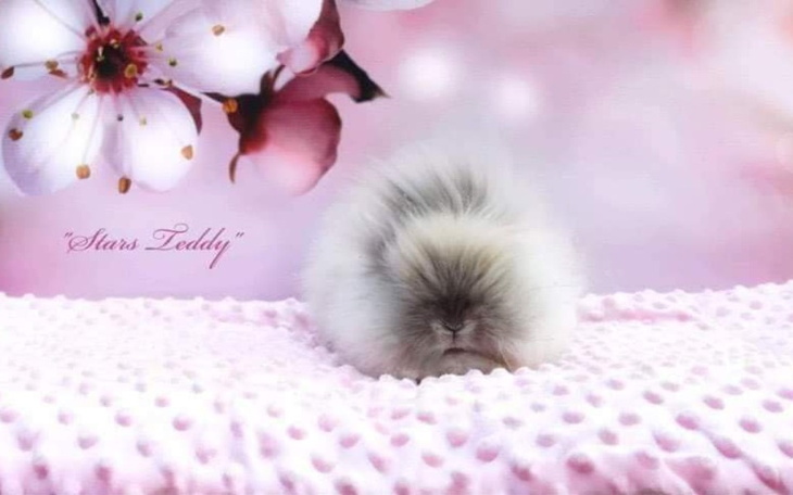 Zbiórka Na mój wymarzony pokój - zdjęcie główne