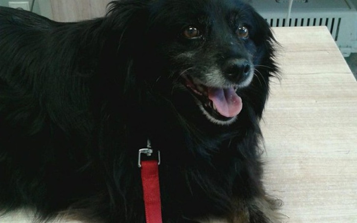 Zbiórka Na leki dla DUMY - zdjęcie główne