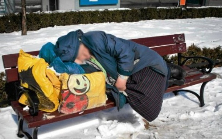 Zbiórka NA ratunek bezdomnym - zdjęcie główne