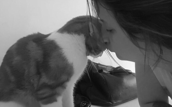 Zbiórka Urodzinowa zbiórka Malwiśki-koty - zdjęcie główne